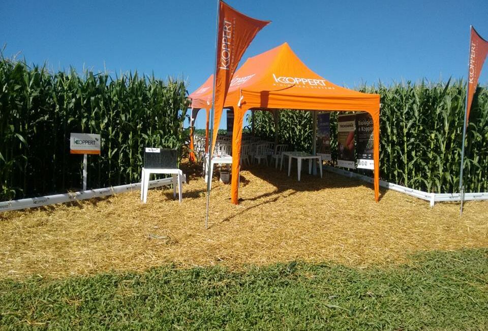 Dia de Campo da Cooperativa Bom Jesus