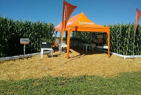 Dia de Campo da Cooperativa Bom Jesus