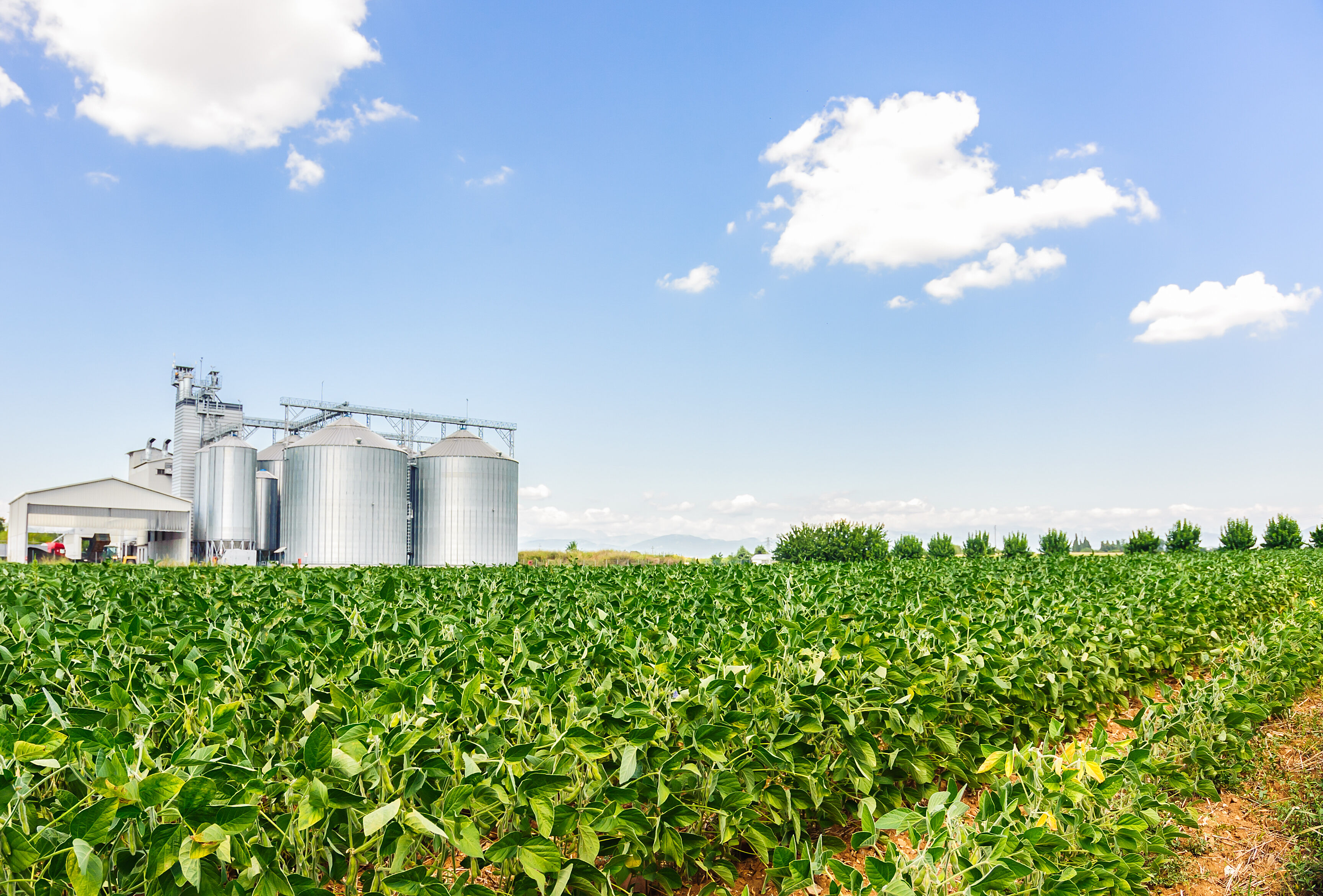 Produção de biológicos para a agropecuária tem aumento de 20%