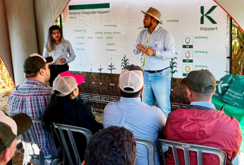 Dia do Campo do Milho