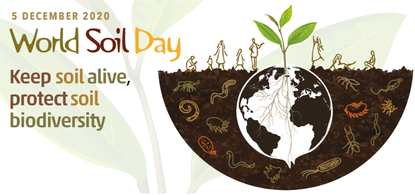 world_soil_day.png