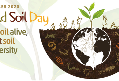 5 de dezembro - Dia Mundial do Solo