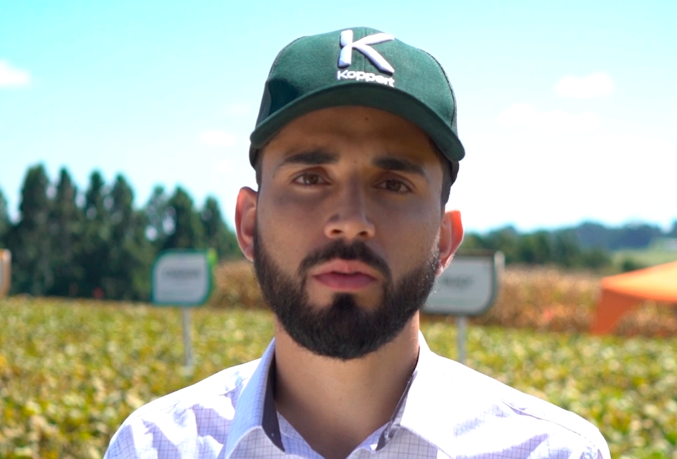 Biodefensivos Koppert e produtividade