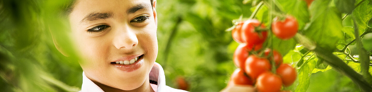 Caravan - Ficha de Emergência