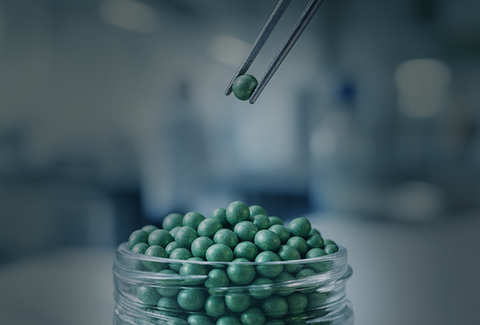 Lançamento do primeiro bioinsumo do mundo à base de fungo para tratamento exclusivo de sementes agrícolas