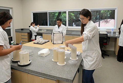 Um conselho de inovação para um agro mais sustentável
