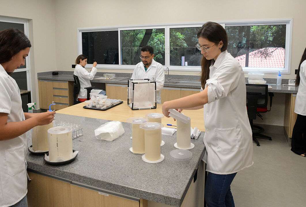 Um conselho de inovação para um agro mais sustentável