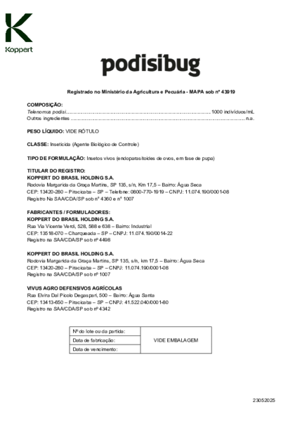 Podisibug - Bula