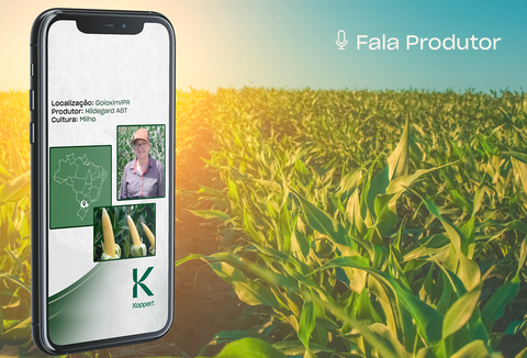 Série enfoca cultura de citros, tabaco e milho