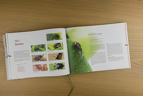 Koppert relança o livro Knowing and recognizing