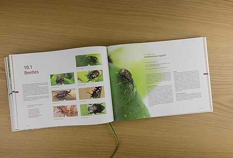 Koppert relança o livro Knowing and recognizing