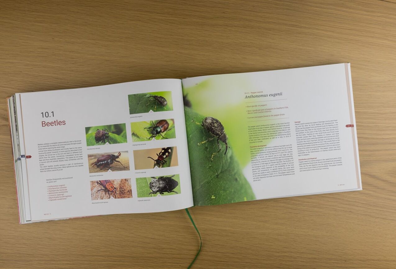 Koppert relança o livro Knowing and recognizing