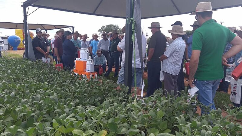 Agro_Ferrari_2019_04.jpg