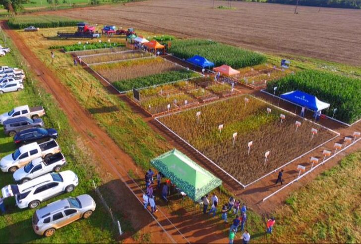Dia de Campo com parceiro Tobiano aconteceu em Campo Verde - MT