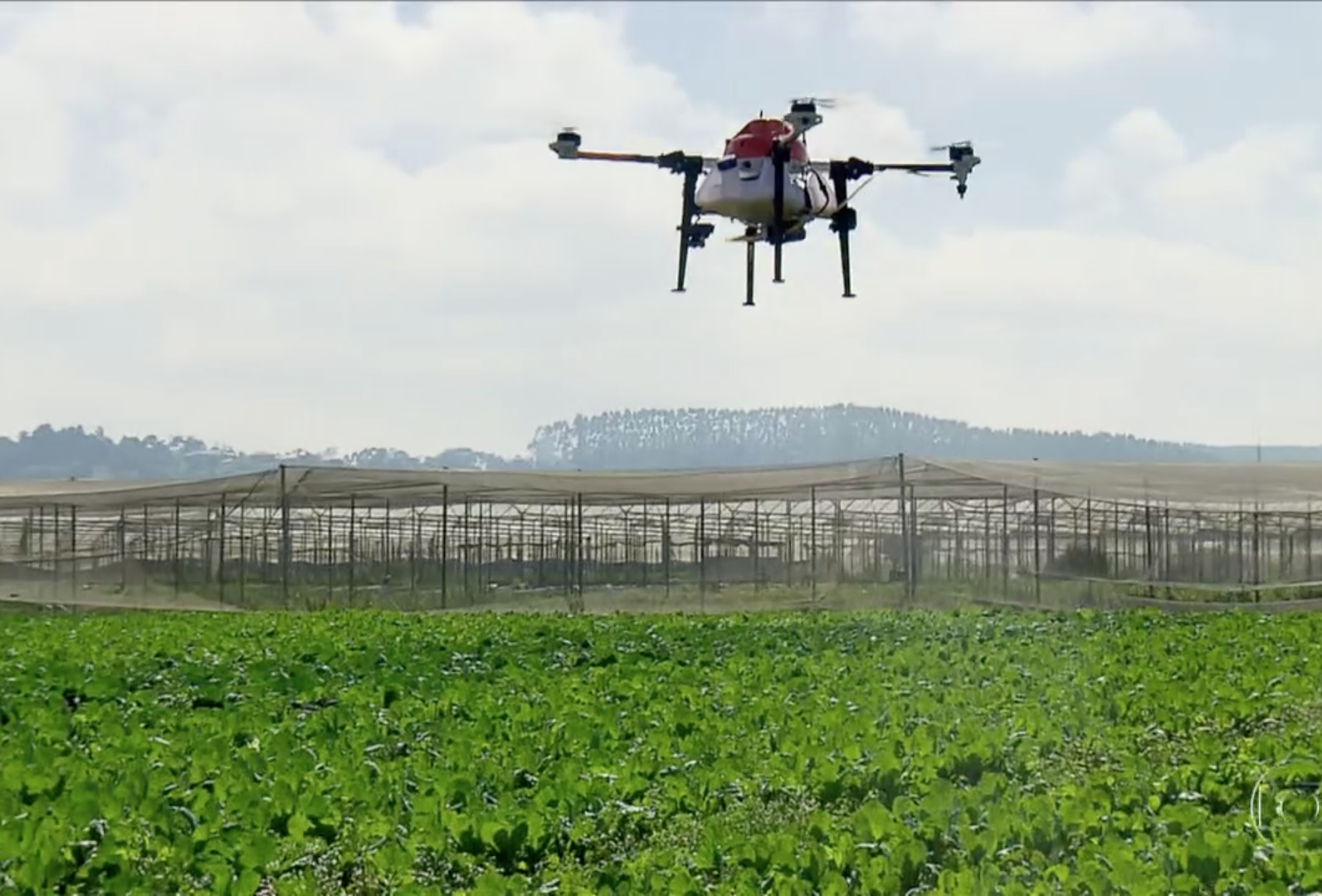 Pulverização via drones é destaque no Globo Rural