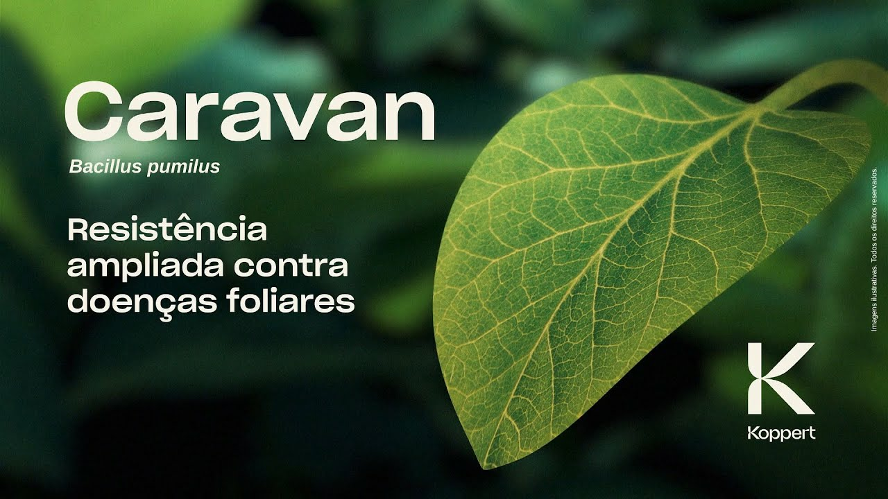 Caravan: Resistência ampliada contra doenças foliares Caravan: Resistência ampliada contra doenças foliares