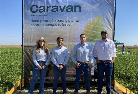 AgroExtend Feijão Irrigado