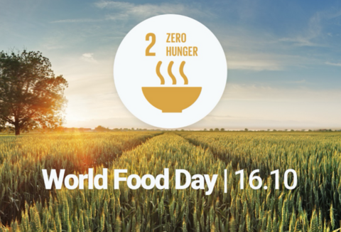 World Food Day 16.10