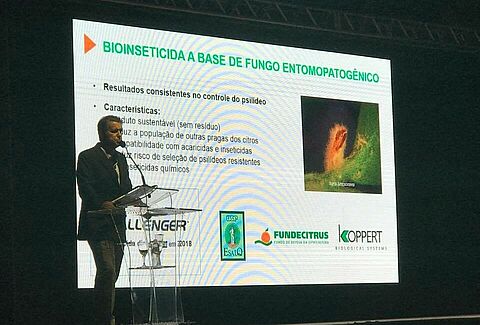 É lançado o primeiro bioinseticida para o controle do vetor do greening
