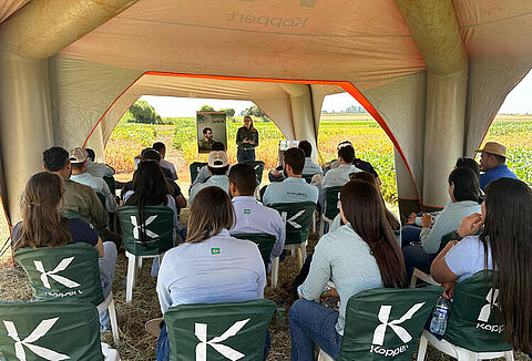 Vitrine Tecnológica: Sistema Integrado Koppert (SIK)