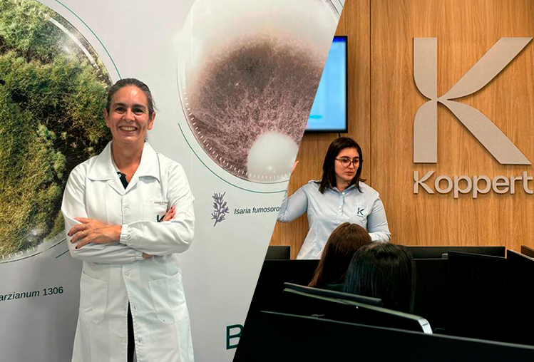 Com Alta Performance, mulheres da Koppert Brasil impulsionam a agricultura no país