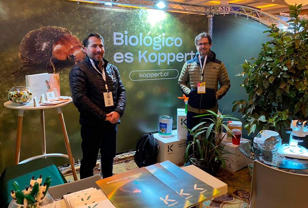 8ª Conferência Redagricola