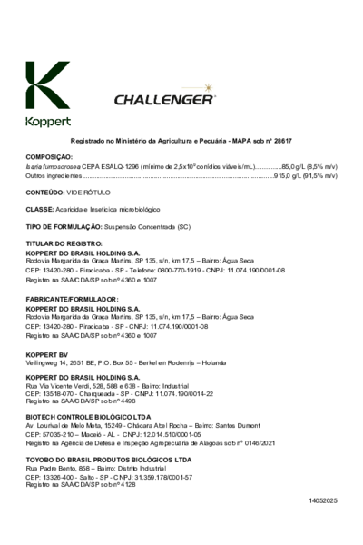 Challenger - Bula