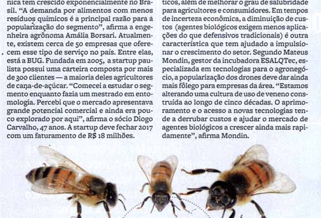 Revista-pequenas-empresas-grandes-negocios