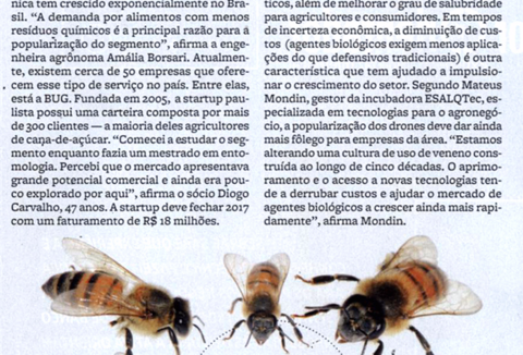 Revista-pequenas-empresas-grandes-negocios