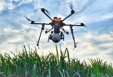 Koppert é reconhecida pela Raízen no Prêmio Parceiro Raiz