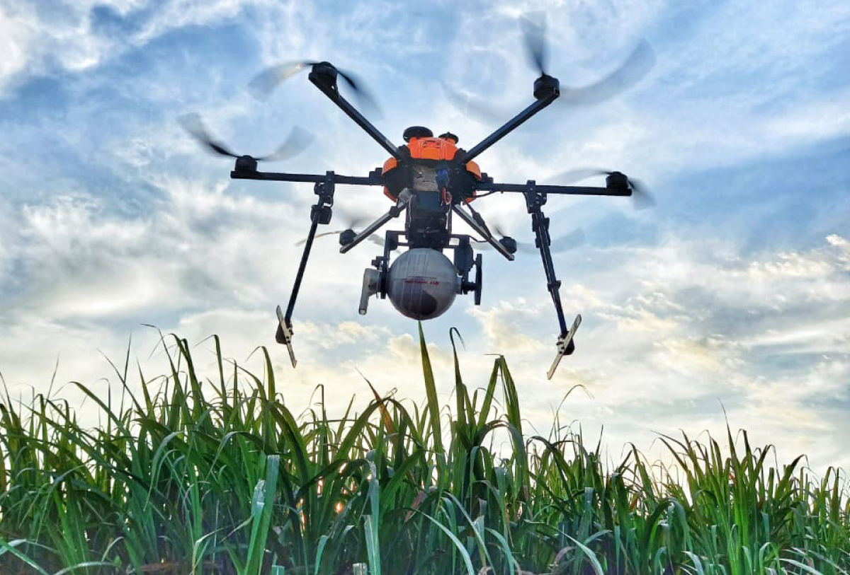 Koppert é reconhecida pela Raízen no Prêmio Parceiro Raiz