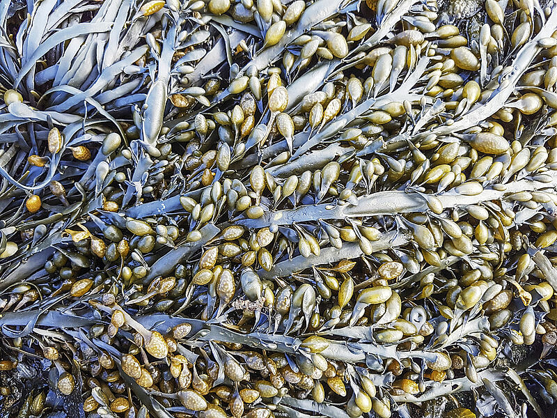 iStock-944199012.jpg