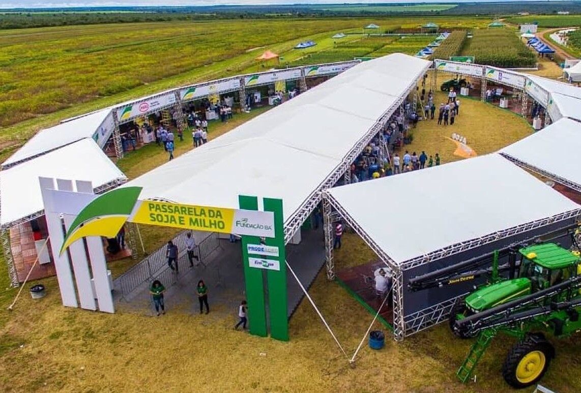 Evento mostra novidades no manejo de grãos em LEM (BA)
