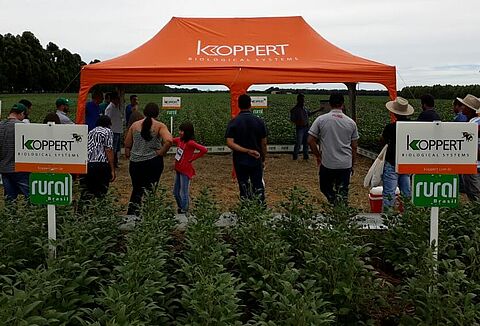 Dia de Campo Rural Brasil em Mineiros - GO
