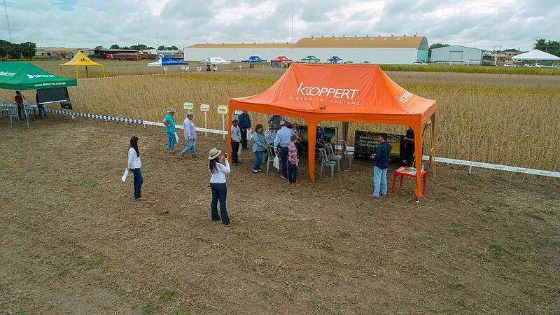 Dia_de_Campo_Sinagro_Querencia_MT_02.jpg