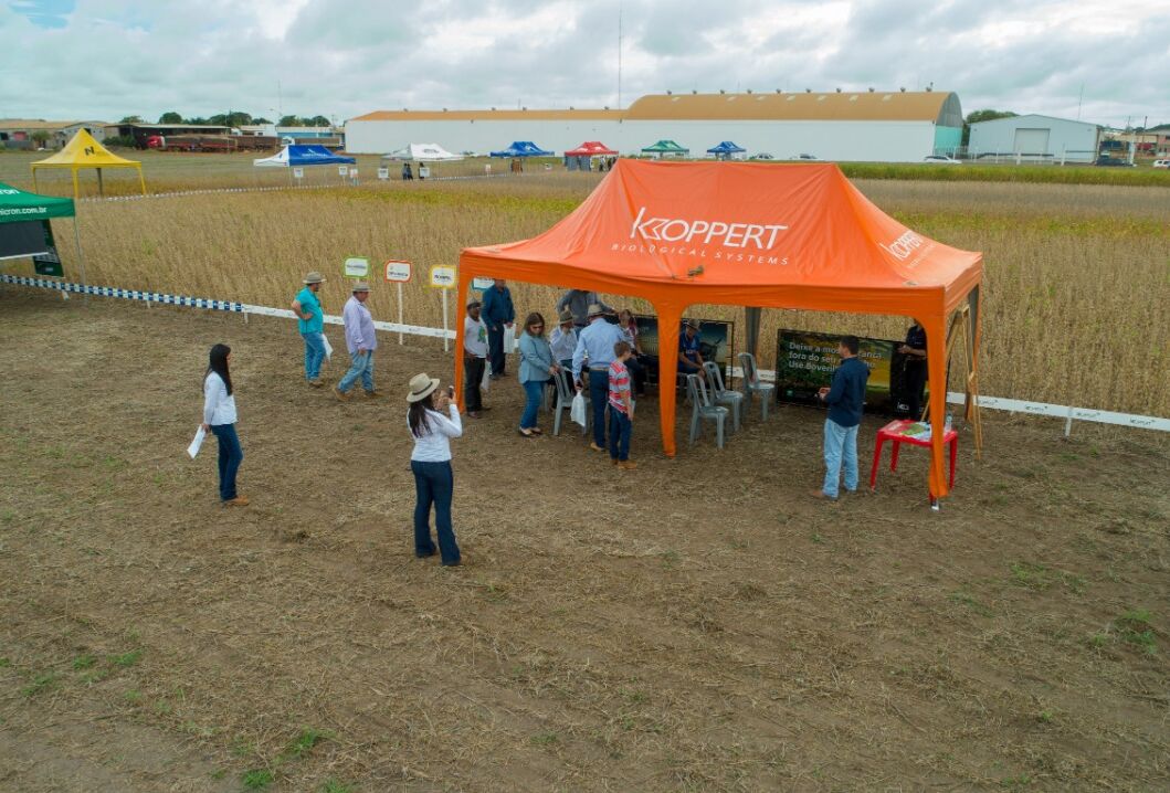 Dia de campo realizado dia 08/02/19 com os parceiros Sinagro em Querência/MT