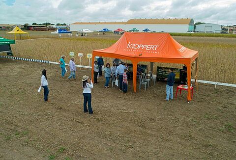Dia de campo realizado dia 08/02/19 com os parceiros Sinagro em Querência/MT