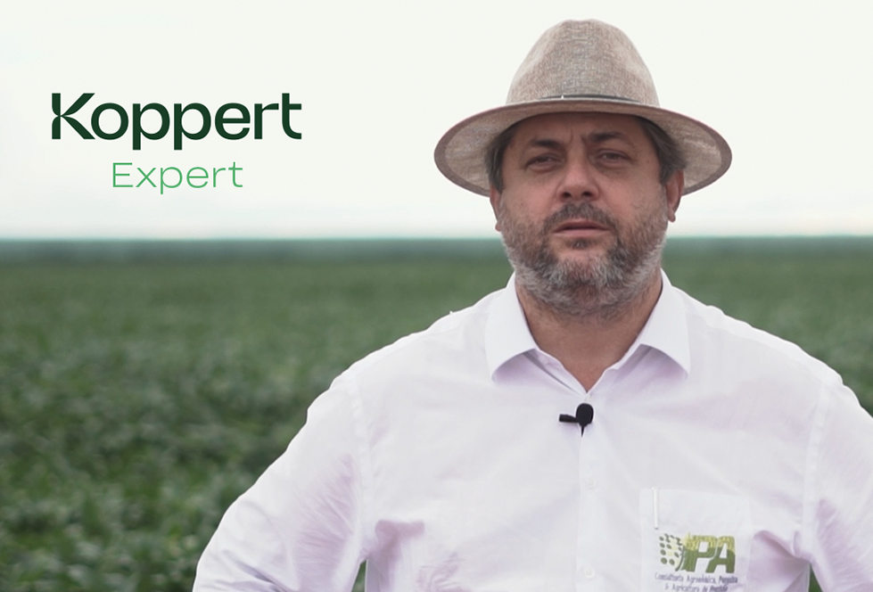 Koppert inicia web série com especialistas e consultores