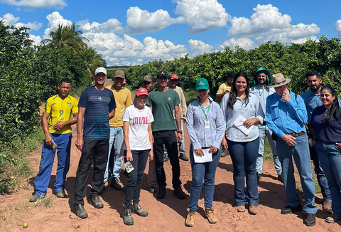 Manejo Biológico na Citricultura