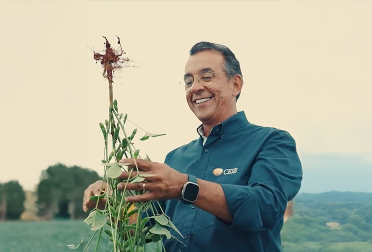 Jornada de Sustentabilidade: Soja