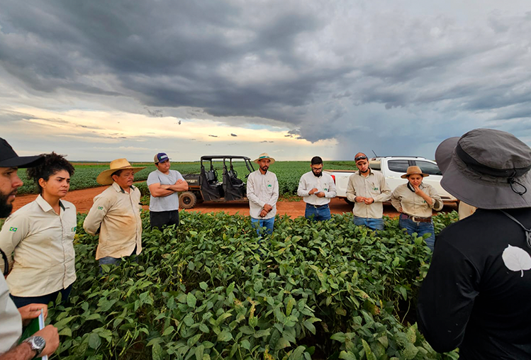Rodada técnica na prática com o Dr. em Entomologia Maurício Pasini