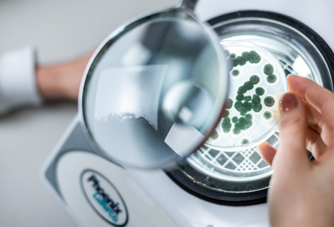 Eficiência do insumo biológico é resultado da qualidade da matéria-prima e do processo produtivo