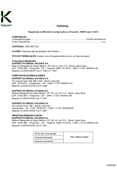 Galloibug - Bula