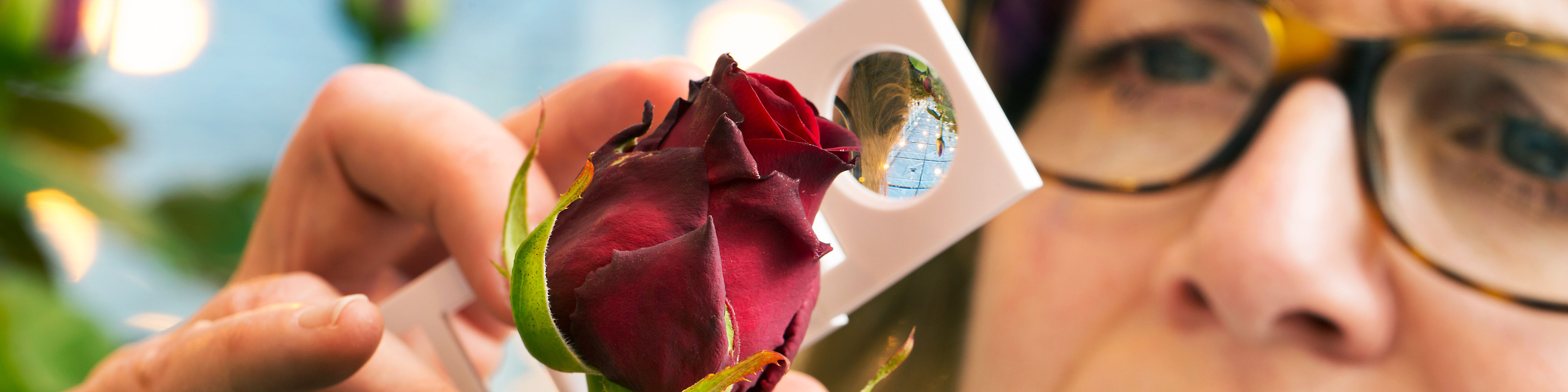 Octane - Ficha de Emergência