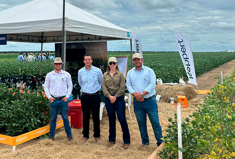 Open Sky Soja 2024 | Sorriso (MT)