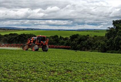 Manejo do mofo-branco deve ser preventivo no inverno, para garantir as safras de verão