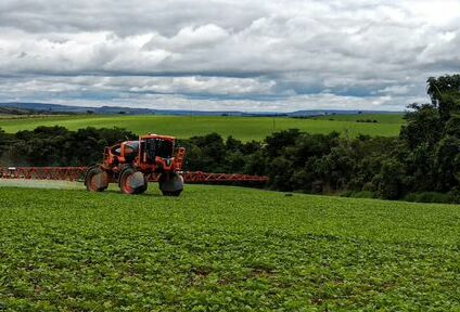 Manejo do mofo-branco deve ser preventivo no inverno, para garantir as safras de verão