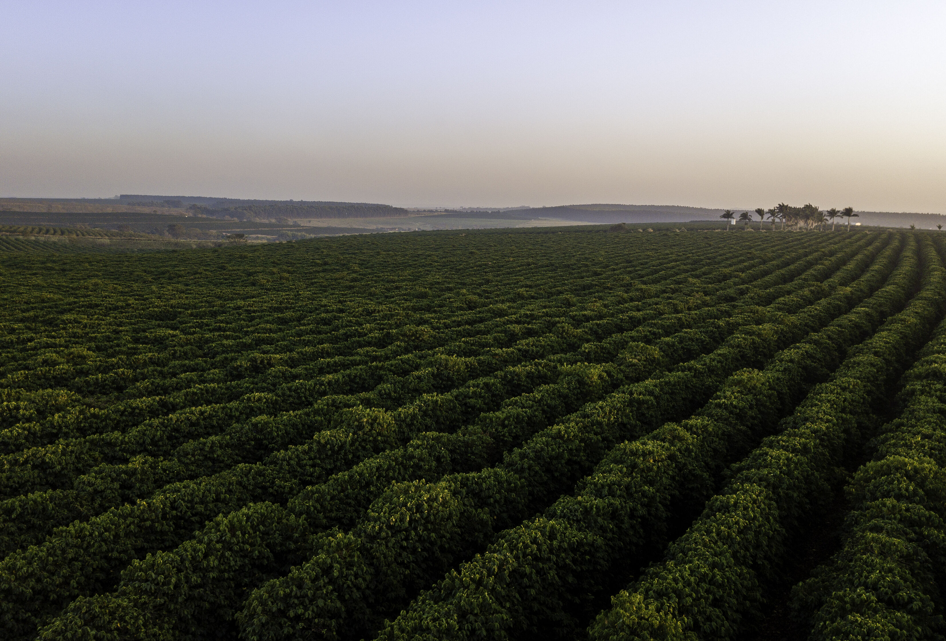 Série Agritour aborda manejo de grãos e cafés especiais