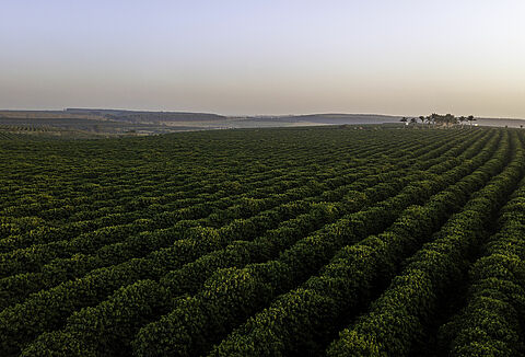 Série Agritour aborda manejo de grãos e cafés especiais