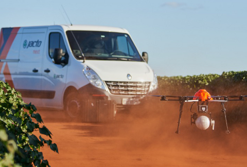 Koppert e Jacto anunciam parceria para liberação de biodenfesivos macrobiológicos